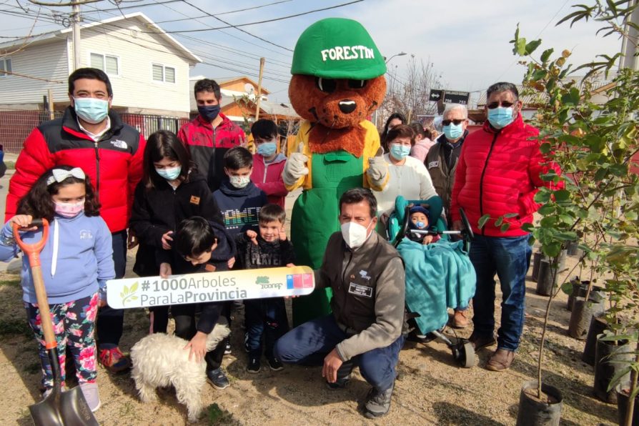 Villa El Alto de Melipilla recibe 25 árboles gracias a programa “Mil Árboles para la Provincia”