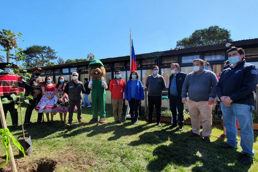 Programa de arborización de Delegación Provincial de Melipilla llegó hasta Colegio Menesiano de Culiprán