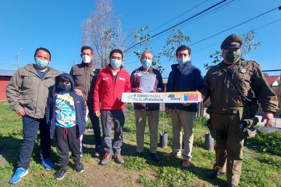 Junta de Vecinos Villa El Progreso de El Bollenar recibe 40 árboles en marco del programa #1000ÁrbolesParaLaProvincia