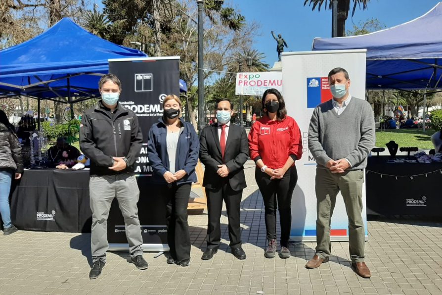 Exitosa Expo Emprendedoras y Gobierno en Terreno se realizó en Plaza de Armas de Melipilla