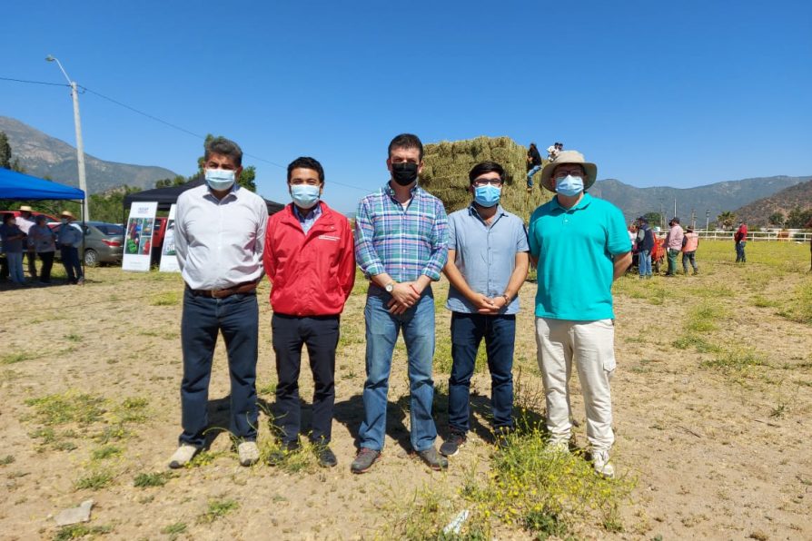 Cerca de 200 ganaderos, crianceros y apicultores de la comuna de Alhué reciben forraje gracias a INDAP