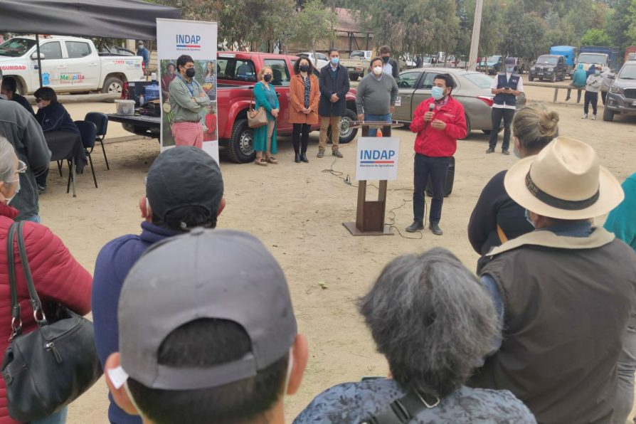 Pequeños ganaderos y productores locales de Melipilla reciben forraje gracias a INDAP