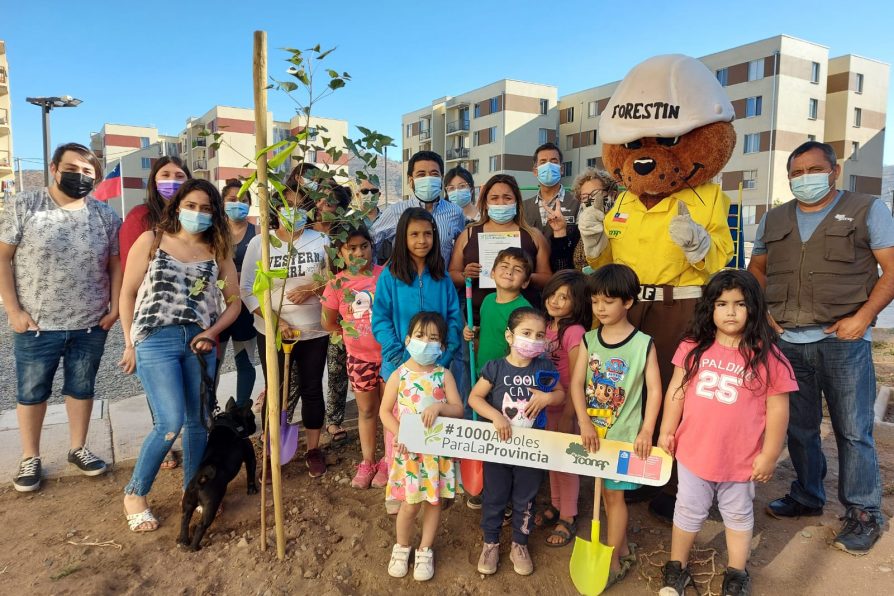 Programa de arborización de Delegación Provincial de Melipilla y CONAF cumplió la meta de #1000ÁrbolesParaLaProvincia