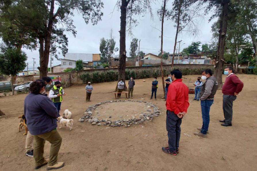 Autoridades destacan aporte de Programa de Empleo de Emergencia desarrollado en Cerro El Sombrero por CONAF