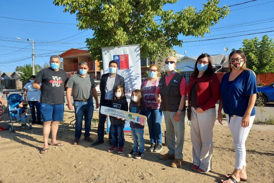 Programa #1000ÁrbolesParaLaProvincia volvió a Villa El Alto de Melipilla