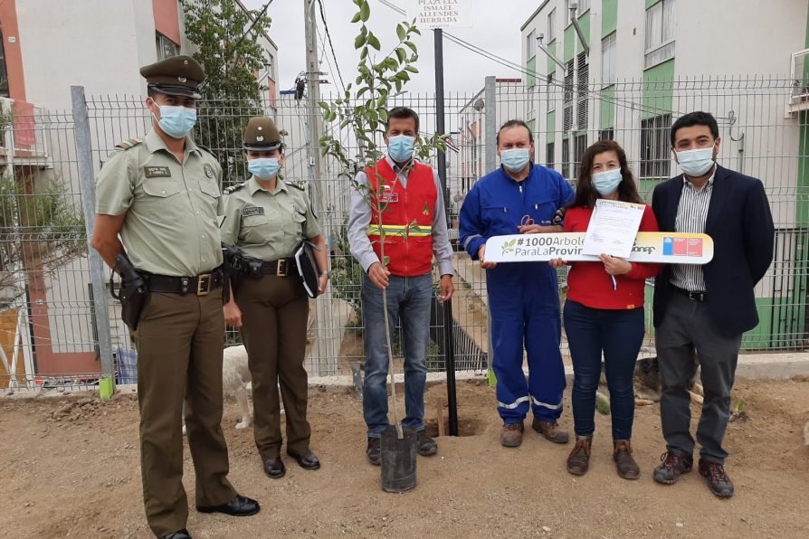 Autoridades participan en inauguración de plazoleta “Ismael Allendes Herrada” de Lomas de Manso etapa VII