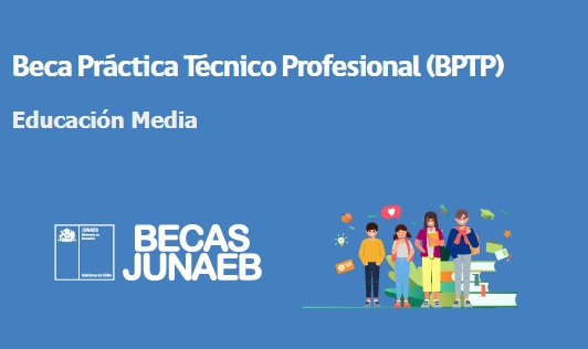 Hasta el 11 de marzo se podrá postular a la Beca Práctica Técnico Profesional que entrega Junaeb