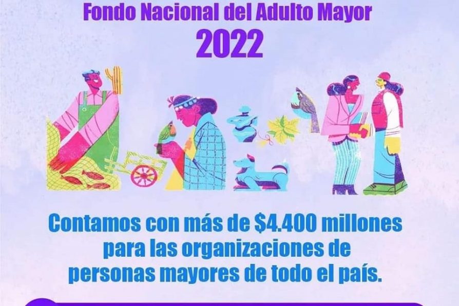 Delegada Sandra Saavedra invita a Clubes de Personas Mayores a participar del Fondo Nacional del Adulto Mayor 2022