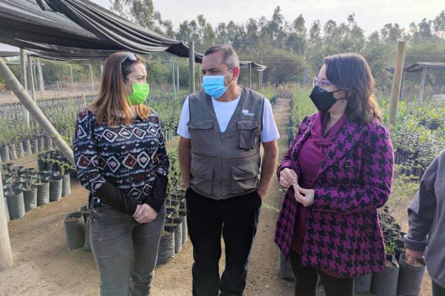 Autoridades realizan visita a vivero de CONAF en San Pedro