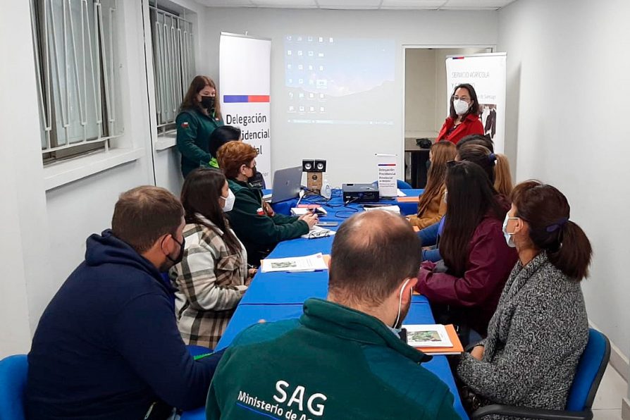 Equipo de inspectores SAG se capacitan para realizar labores fitosanitarias a predios afectados por el nematodo de la frutilla        