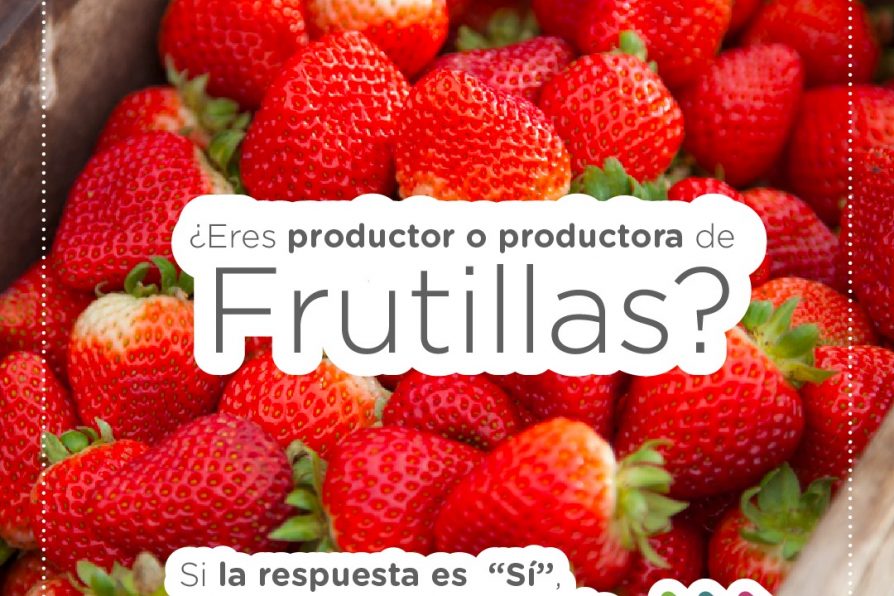 Nemátodo foliar de la frutilla