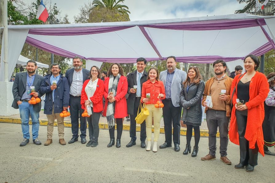 Delegada Sandra Saavedra asiste a actividades en el marco del aniversario 280  de Melipilla