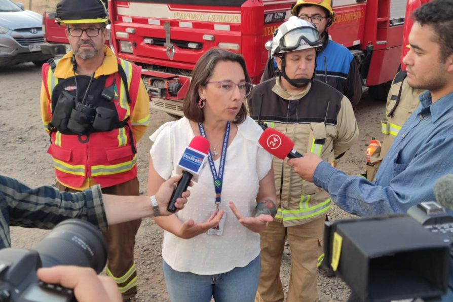 <strong>Más de 250 hectáreas fueron consumidas en incendio forestal de Paliocabe</strong>