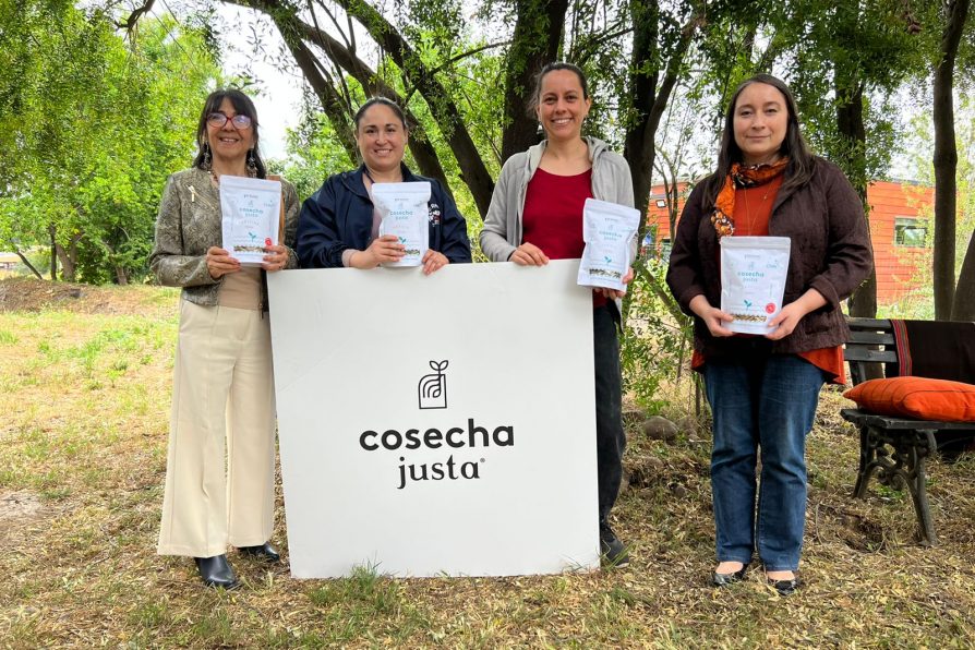 <strong>Emprendedoras de Melipilla son beneficiadas gracias a “Programa de Apoyo a la Reactivación Mujer Sustentable” de CORFO</strong>