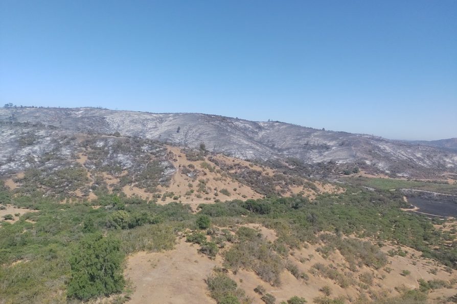 <strong>Contenidos se encuentras incendios forestales de Melipilla y San Pedro</strong>