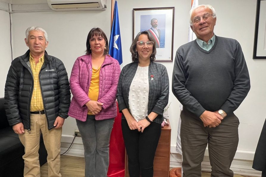 Dirigentes de la Sociedad de Transporte Rural Periférico de Melipilla sostienen encuentro de trabajo con delegada Saavedra