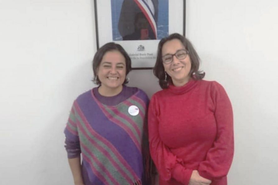 Delegada Sandra Saavedra sostuvo encuentro protocolar con Seremi de Desarrollo Social Lorena Estivales