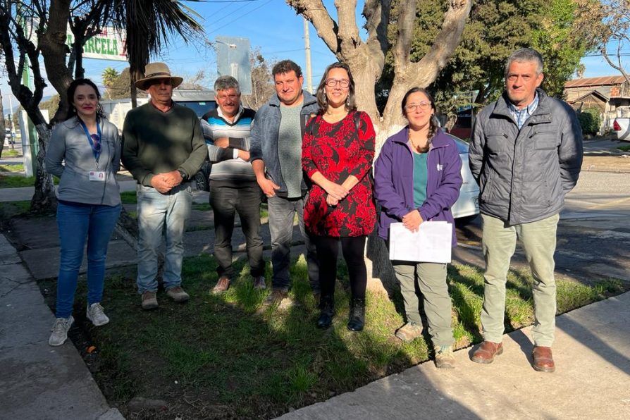 Delegada Sandra Saavedra hace entrega de sacos de alfalfa a productores de Melipilla y San Pedro