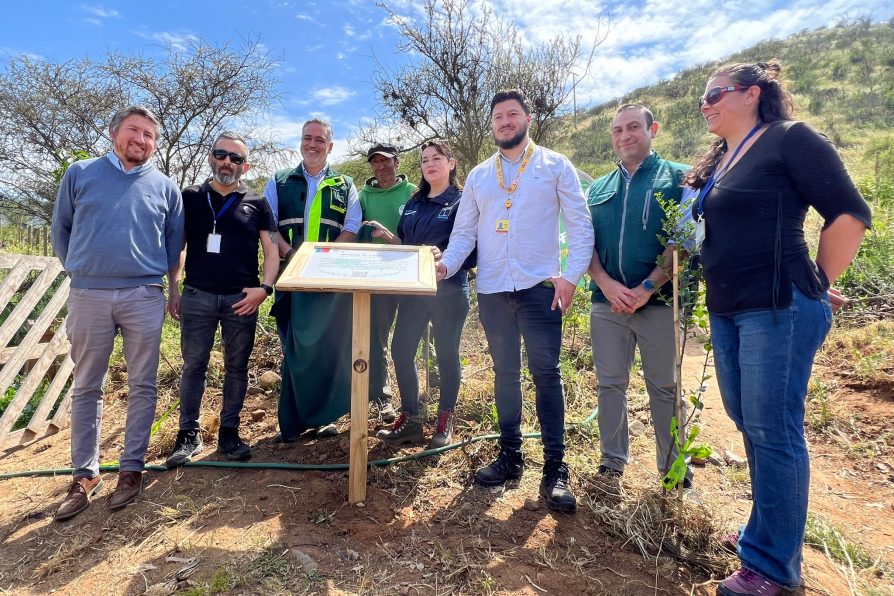 Proyecto de arborización comunitario en Parque San Mateo permite la plantación de dos mil árboles gracias a CONAF