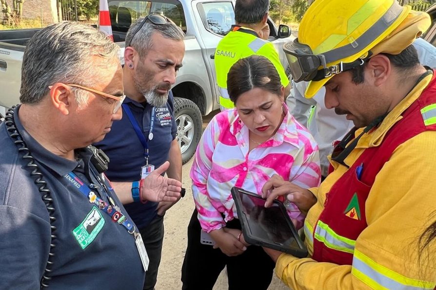 Delegada(s) de la Provincia de Melipilla, Stephanie Duarte, entrega balance por incendios forestales