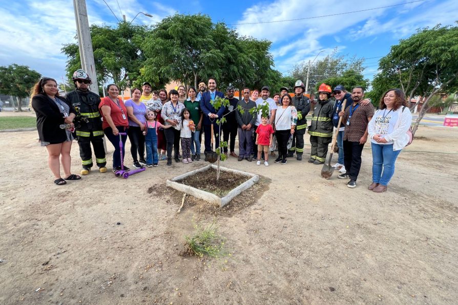 Campaña “Siembra un árbol, siembra conciencia” de Delegación Provincial de Melipilla llega con éxito a Población Clotario Blest