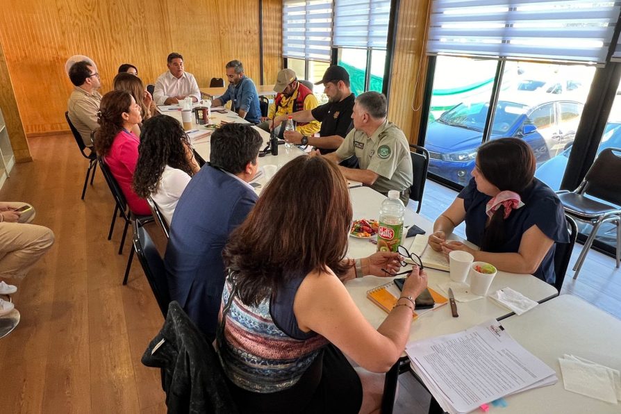Establecen nuevo COGRID comunal de emergencia por incendios forestales en San Pedro
