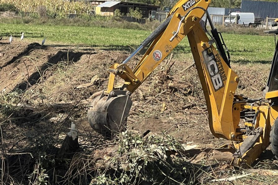 Realizan labores de limpieza de Estero Culiprán de Melipilla