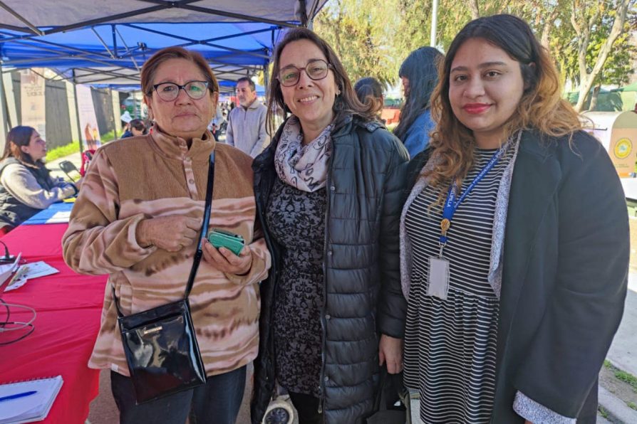 Comunidad de Bollenar recibió nuevo Gobierno en Terreno