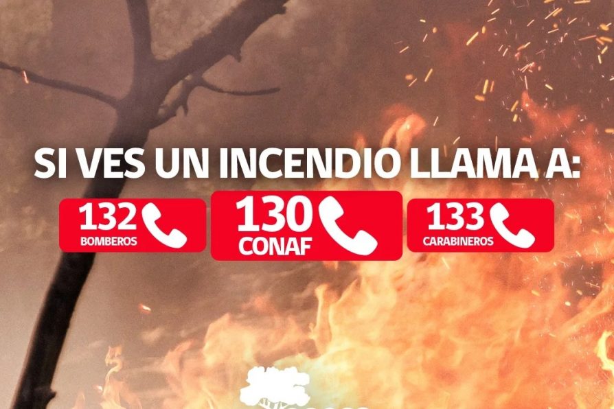 CONAF se prepara para unas Fiestas Patrias seguras