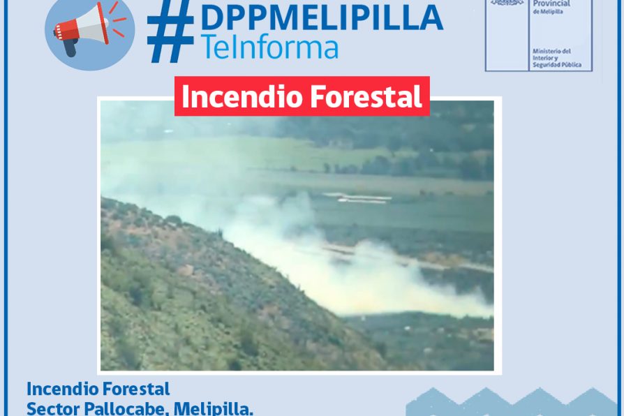 Declaran Alerta Roja para la comuna de Melipilla por Incendio Forestal en sector de Pallocabe