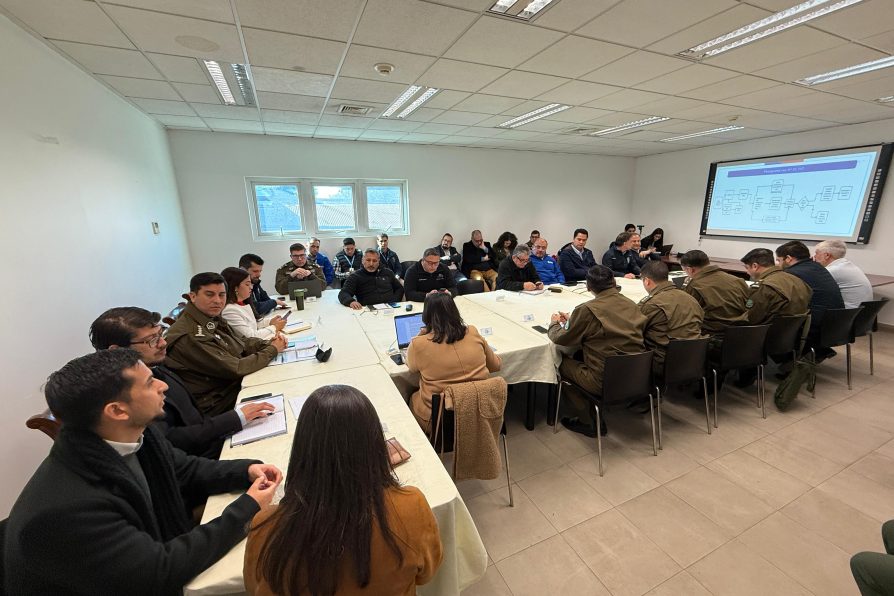 Delegación Presidencial Provincial participó en nueva sesión del Sistema Táctico Operativo Policial de Carabineros