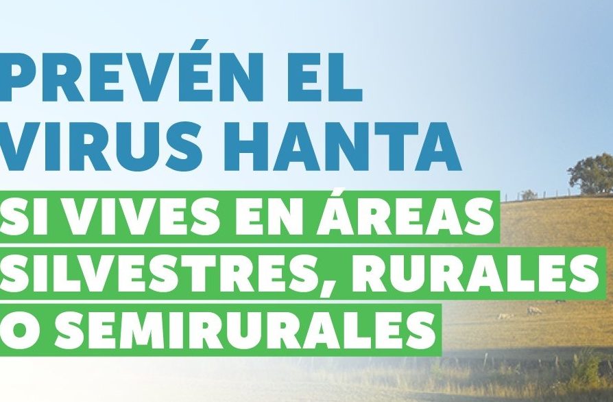 Delegado Provincial de Melipilla recuerda tomar medidas de prevención ante aumento de riesgo de contagio por Virus Hanta en verano