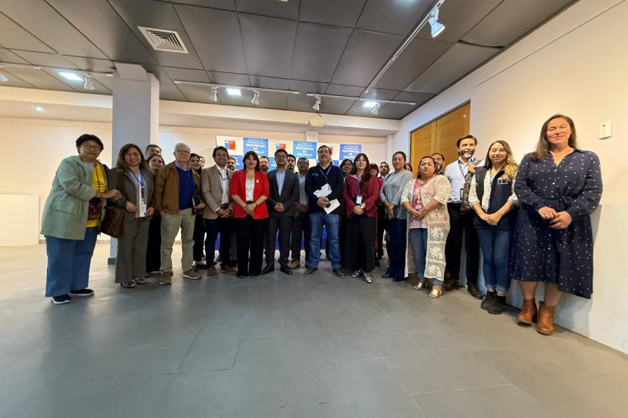 Delegado Provincial Bastián Alarcón encabeza sesión plenaria de Servicios Públicos