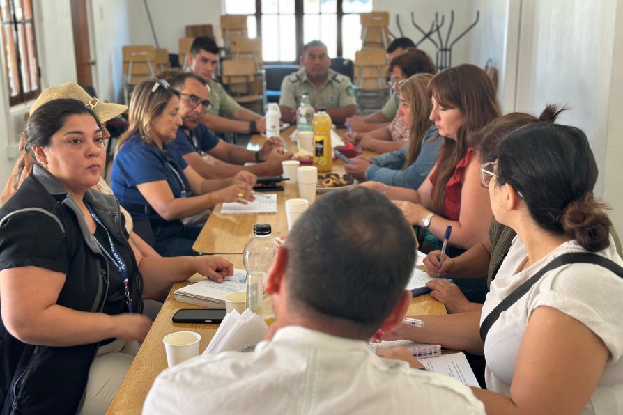 Delegación Provincial de Melipilla encabeza reunión de seguridad con organizaciones de Pomaire