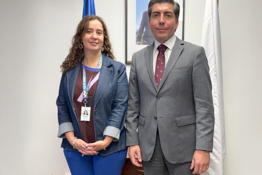 Autoridad Provincial sostiene reunión de trabajo con directora del Servicio de Salud Occidente