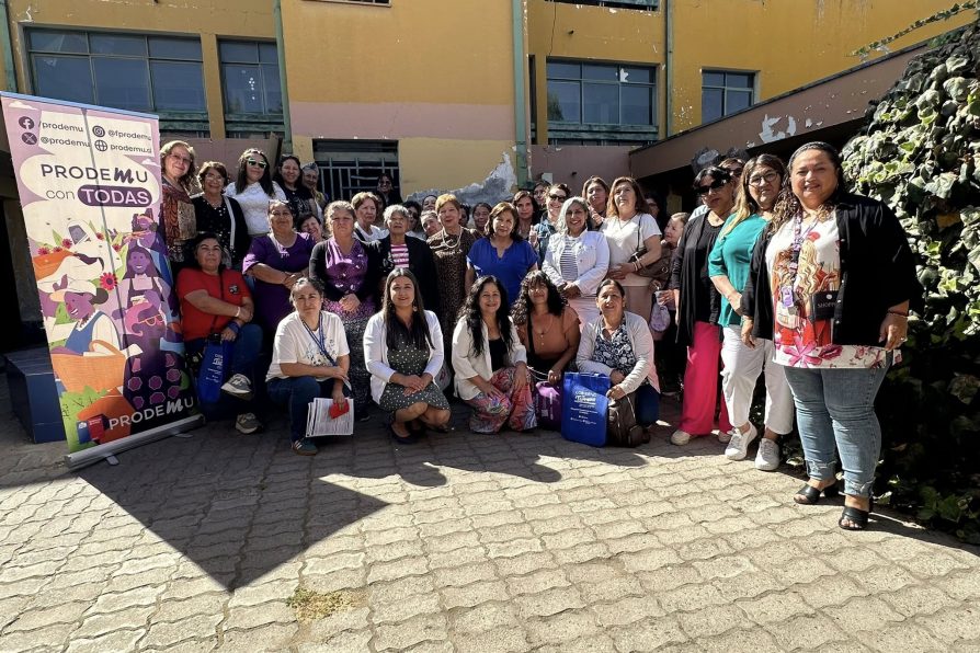 Delegado Provincial de Melipilla Bastián Alarcón encabeza jornada informativa en el marco de la Conmemoración del Día Internacional de la Mujer