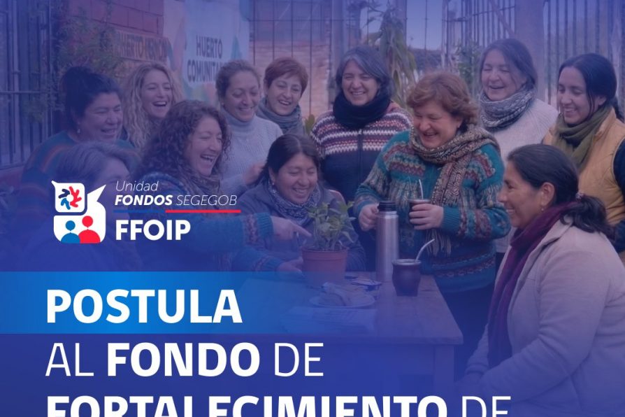 Delegado Gastón Libuy hace llamado a postular al Fondo de Fortalecimiento de Organizaciones de Interés Público (FFOIP) 2026