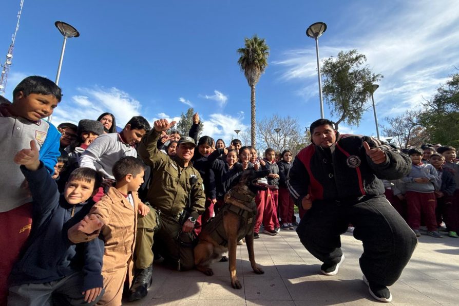 Seguridad y emergencia: Exitoso Gobierno en Terreno llegó a comuna de San Pedro