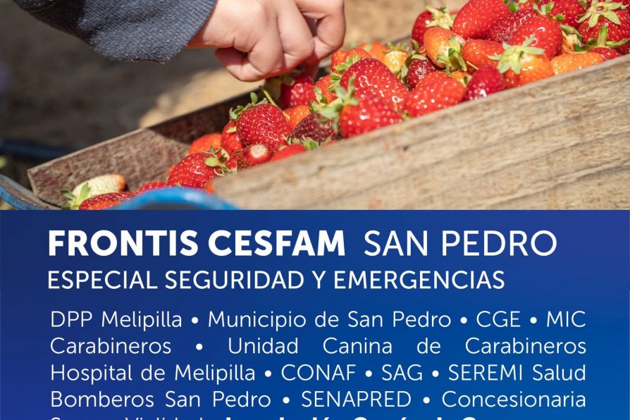Gobierno en Terreno de Delegación Provincial de Melipilla se traslada a comuna de San Pedro