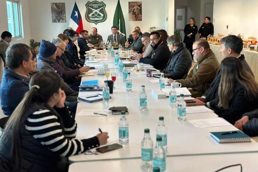 Delegado presidencial provincial participó en XV Reunión de Seguridad Público-Privada del Retail