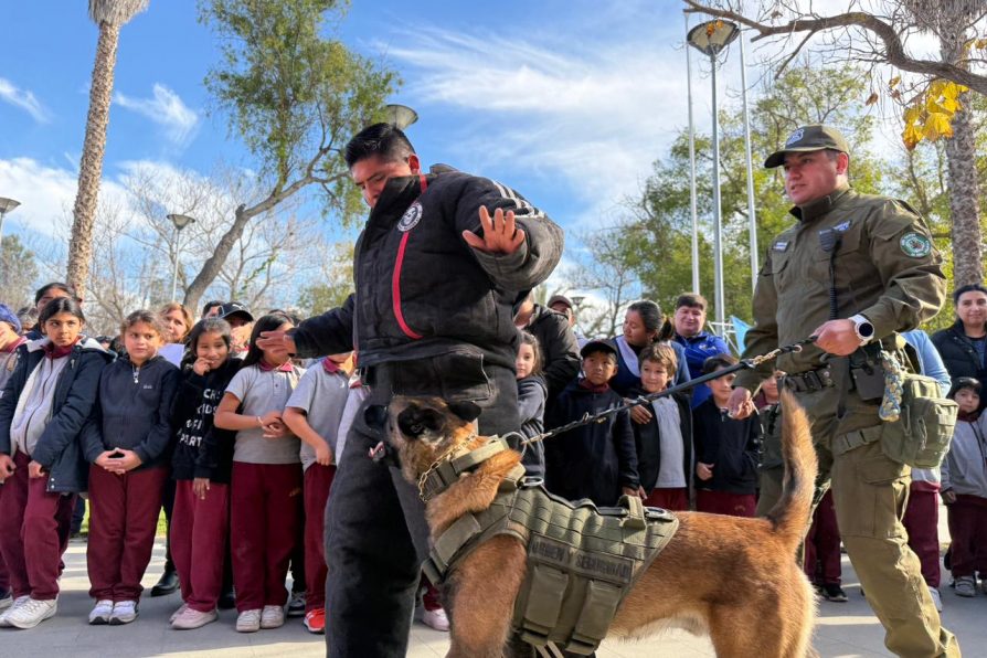 Destacan presentaciones de la Unidad Canina de Carabineros y Bomberos tras exitosa jornada de Gobierno en Terreno en San Pedro