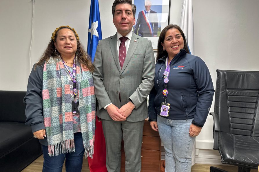 Autoridad provincial sostiene encuentro de trabajo con Prodemu Melipilla