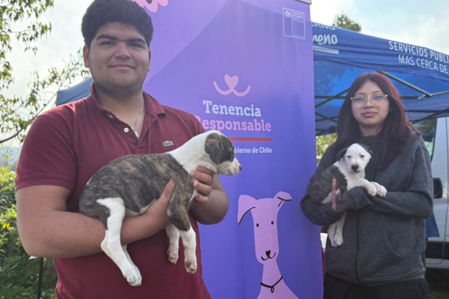Delegación Provincial de Melipilla dio inicio al Programa de Tenencia Responsable de Mascotas 2026 en San Pedro