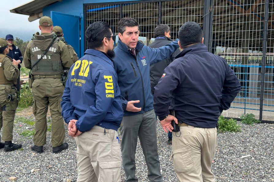Autoridades fiscalizan planteles de cerdos en Pallocabe y Pabellón ante denuncias de vecinos