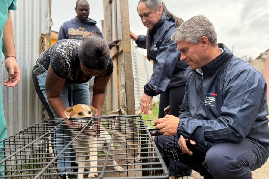 Delegación Provincial de Melipilla y municipio realizan operativo veterinario en campamento de la ribera del río Maipo